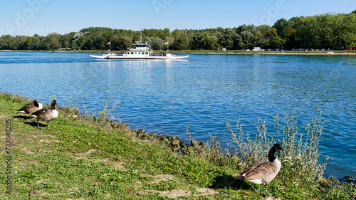 Rheinfähre bei Neuburgweiher photo