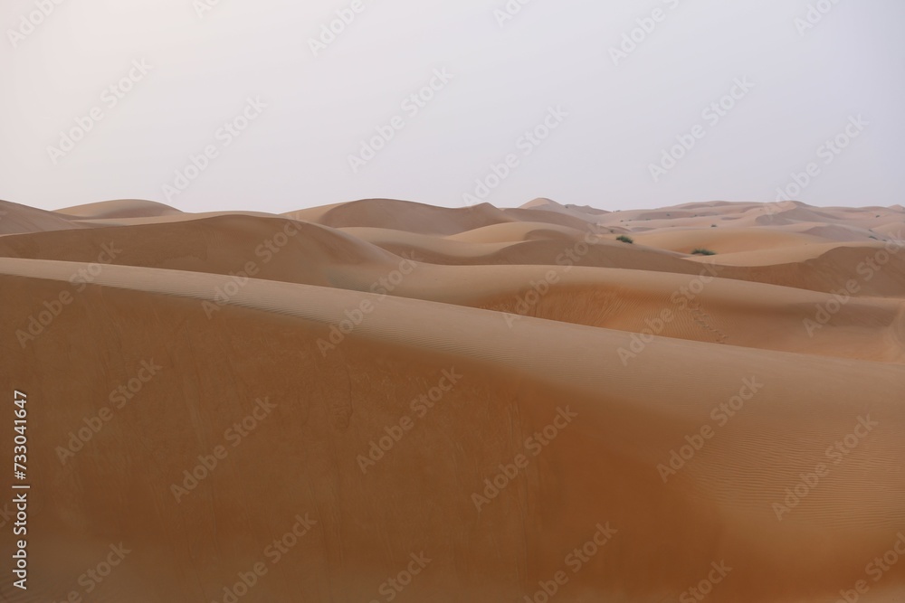Fototapeta premium Wahiba Sands Desert in Oman