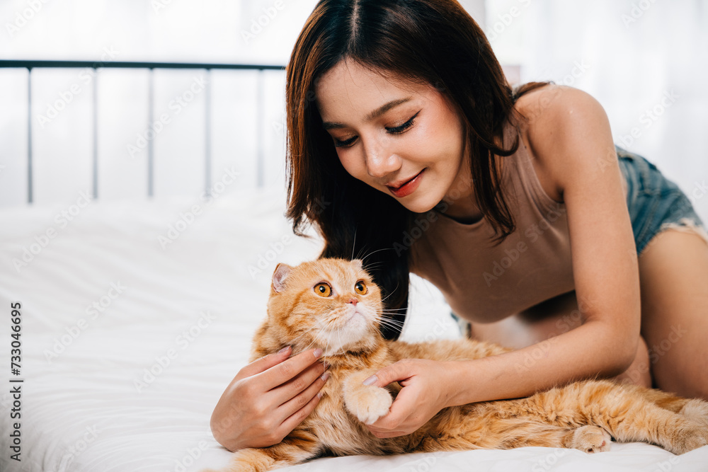 Obraz premium A woman looks on with love and happiness as she strokes her playful Scottish Fold cat on the bed in their room. Their connection is filled with warmth and care. Pat love