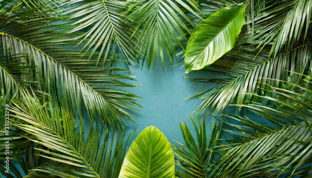 Fototapeta premium tropical palms leaves frame