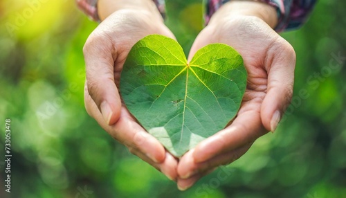 green heart heart shaped leaves in hands natural green background
