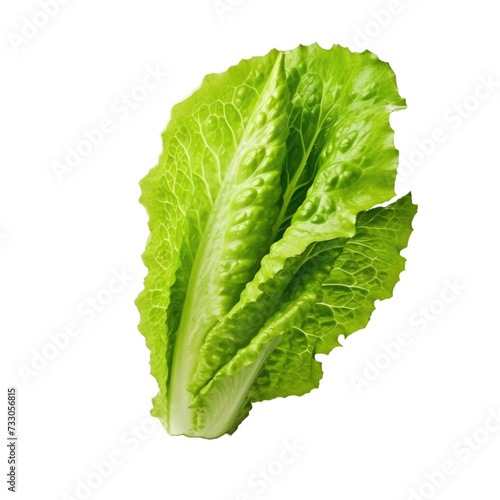 lettuce PNG , transparent background