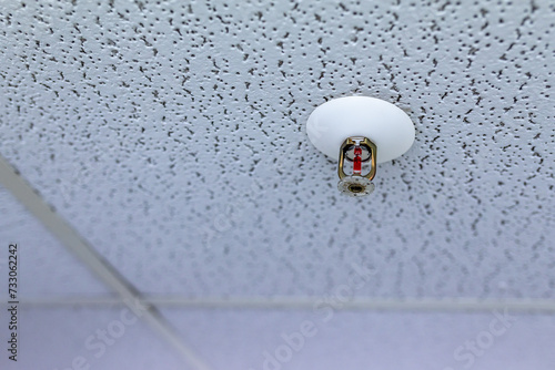 Obraz na plátně Ein Sprinkler der Sprinkleranlage mit roter Flüssigkeit an der Decke montiert