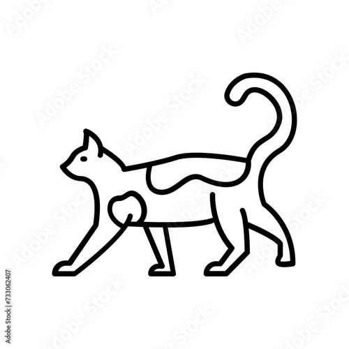 Cat icon. outline icon