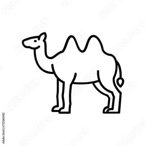 Camel icon. outline icon