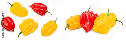 Photography yellow and red habanero chili hot peppers isolated on white background