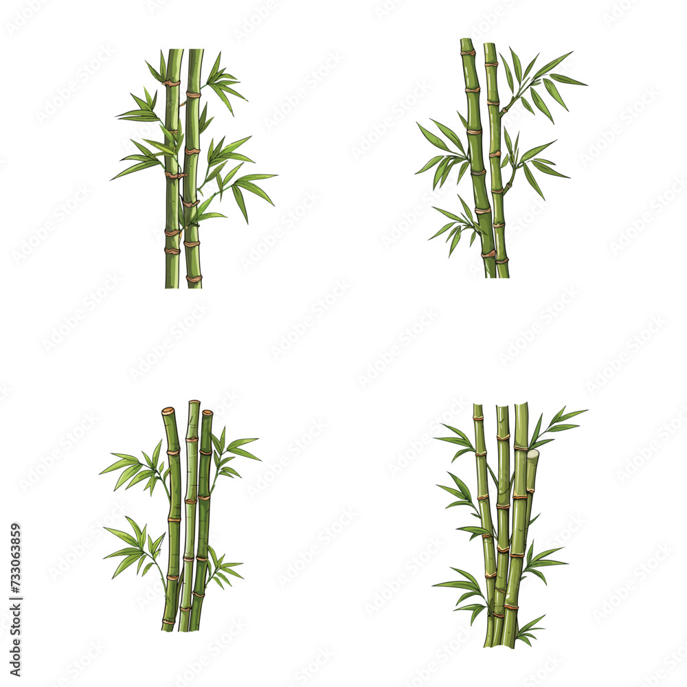 Fototapeta premium Bamboo vector illustration isolated on white background. 