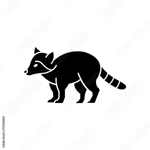 raccoon icon. solid icon