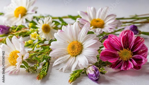 beautiful flowers on a white background