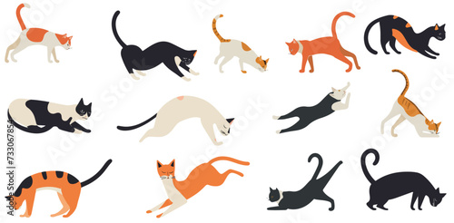 set of cats. cat in different positions. cat sclip art. © isbah