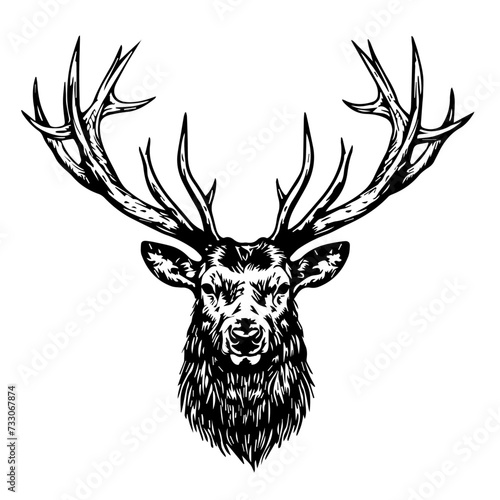 deer head vector illustration. deer head black n white, tattoo.
