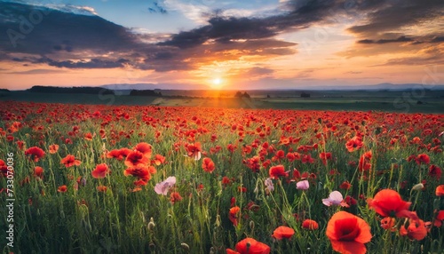 sunset over poppy field © Richard