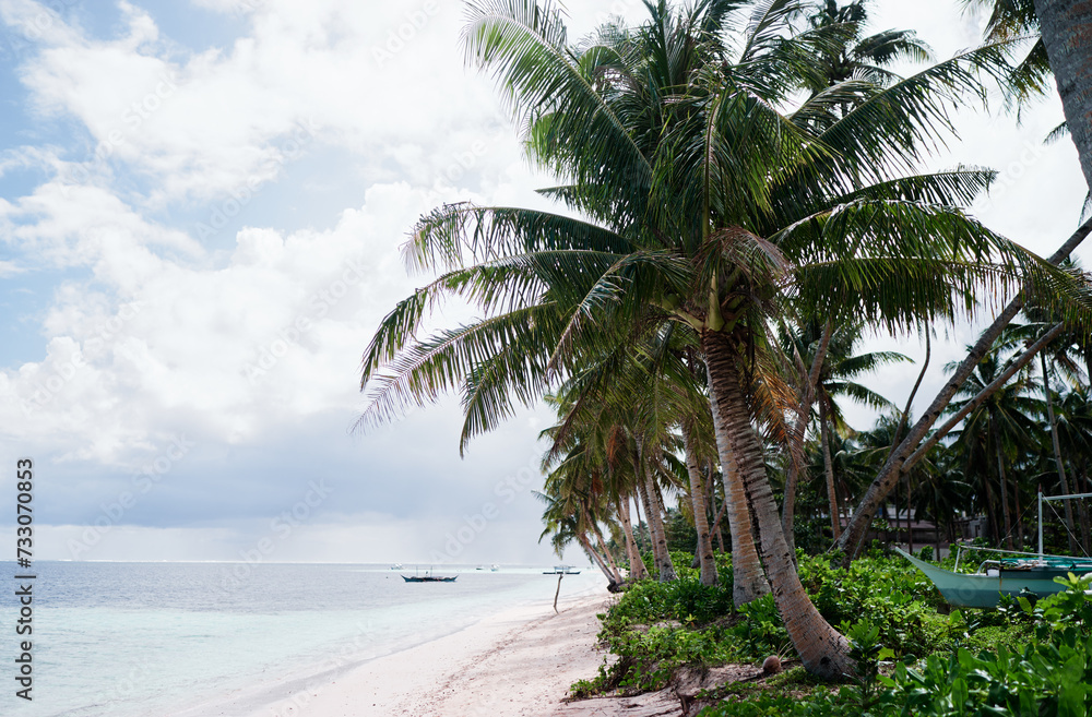 Fototapeta premium Tropical vacation. Coconut palm trees beach.