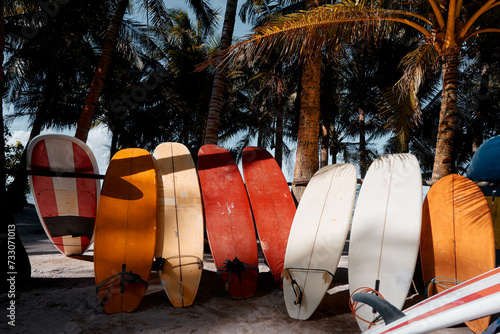 The set of surfboards in the tropical rental.