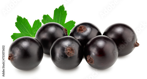 black currant with green leaf isolated on white background. clipping path
