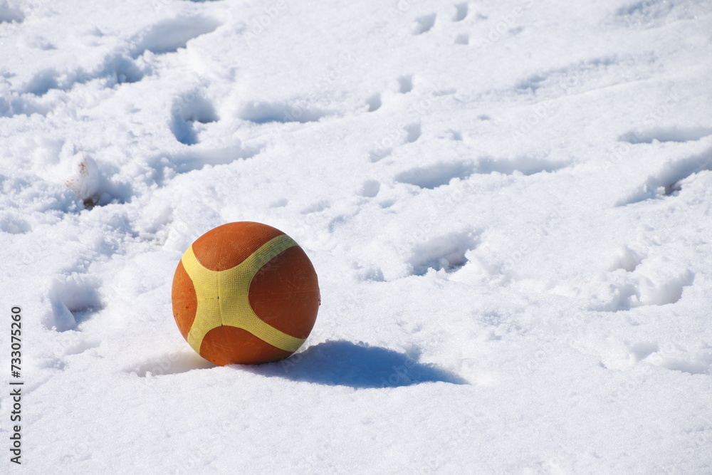 雪景色のボール