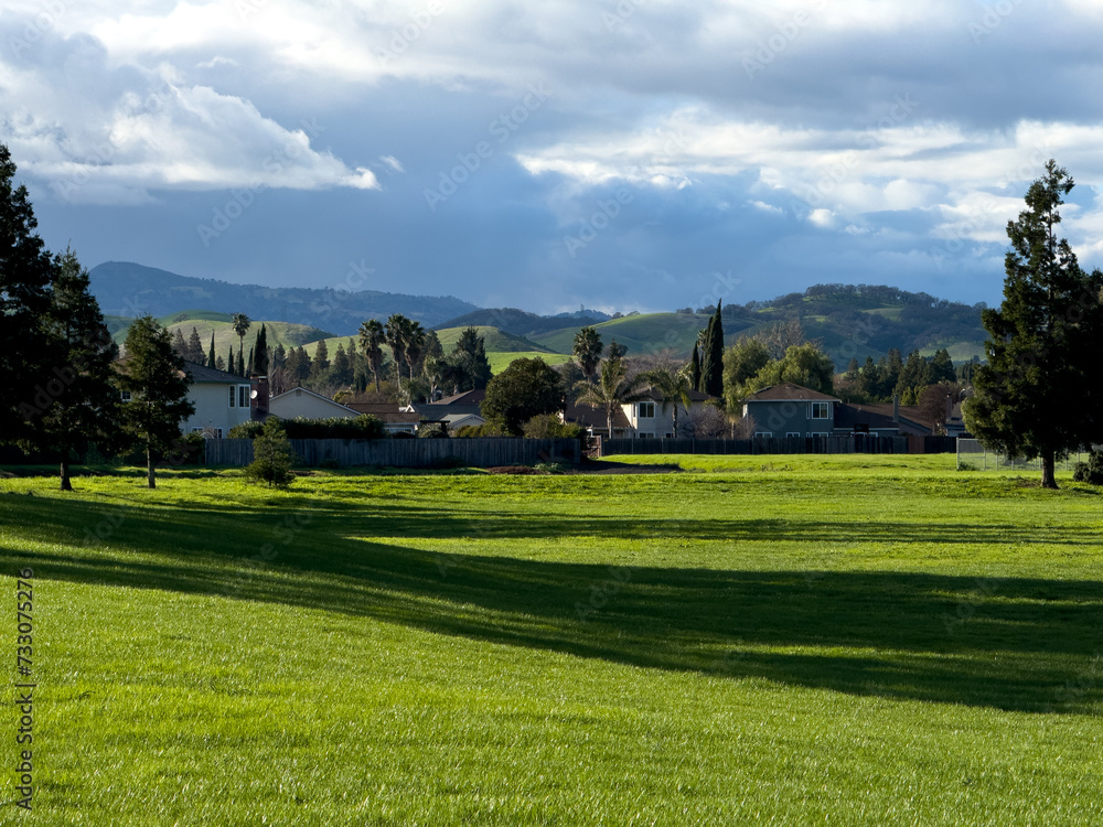 Scenic view of a green field with trees in a park Scenic view of a green field with trees in a park