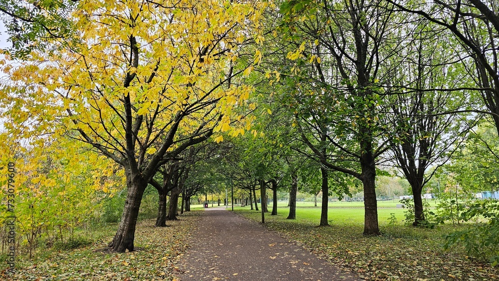Autumn leaves blanket the park trail as trees transition into vibrant hues. Glasgow, Scotland