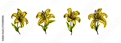 set of differents flowers decoration on white background photo