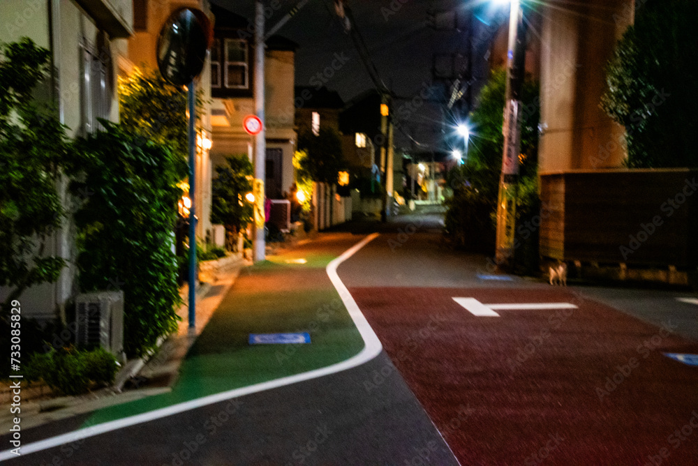 Night in a residential area on the outskirts of the city center Night in a residential area on the outskirts of the city center