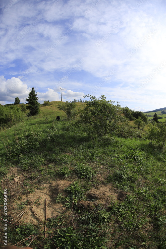 Slovakia landscape i nthe summer Zuberec
