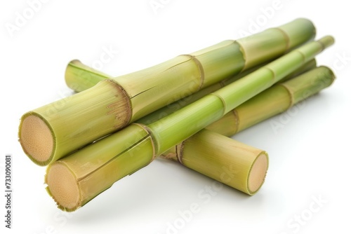 A Pile of Bamboo Sticks on a White Background