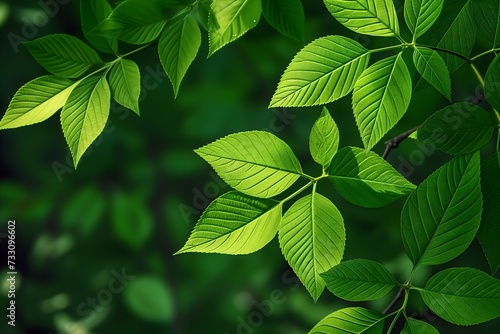 AI generated illustration of green foliage with sunlit leaves and blurred background