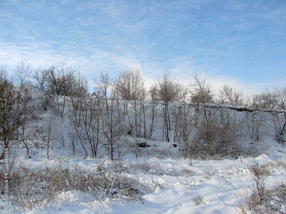 A landscape of a forest strip rising up the hillside covered with a warm blanket of freshly fallen snow against the background of a frosty blue sky on the horizon. A landscape of a forest strip rising up the hillside covered with a warm blanket of freshly fallen snow against the background of a frosty blue sky on the horizon.