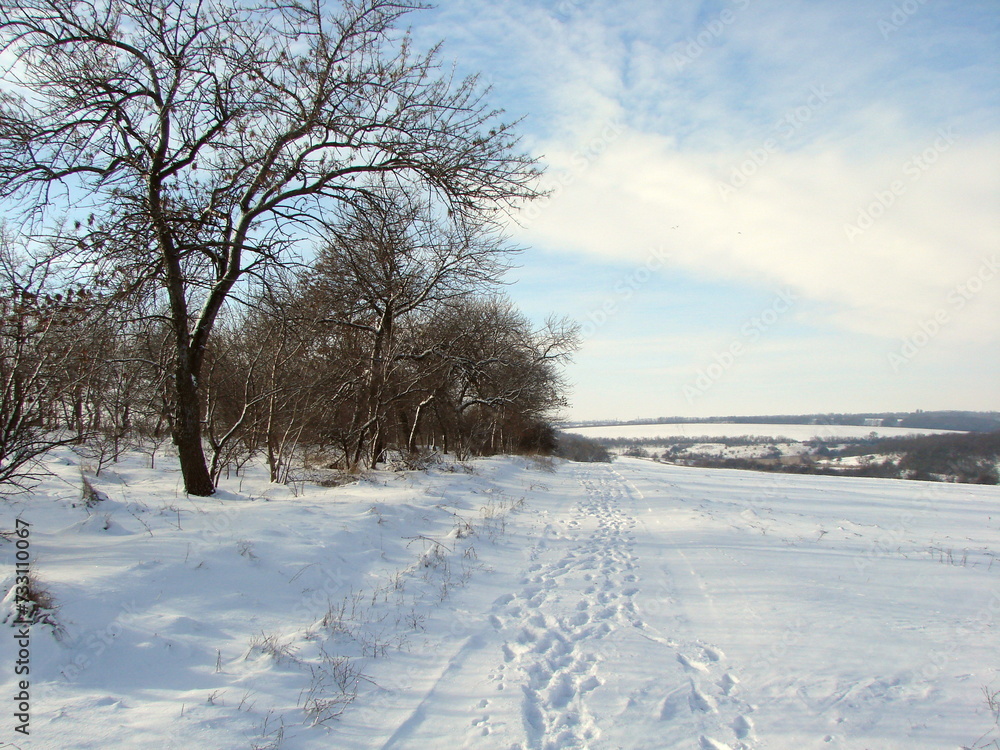 A view of a barely trodden road that goes into the distance between a forest strip and snow-covered fields to the blue-white horizon. A view of a barely trodden road that goes into the distance between a forest strip and snow-covered fields to the blue-white horizon.