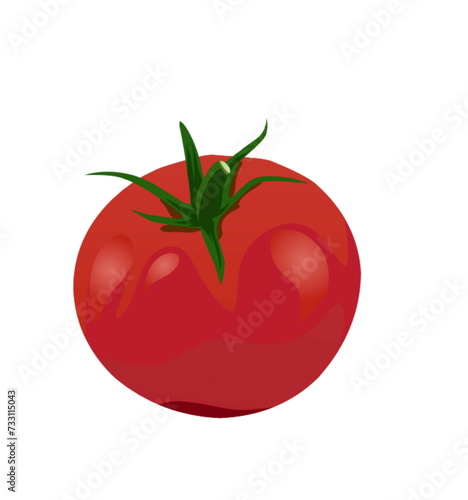 tomato illustration on a white background