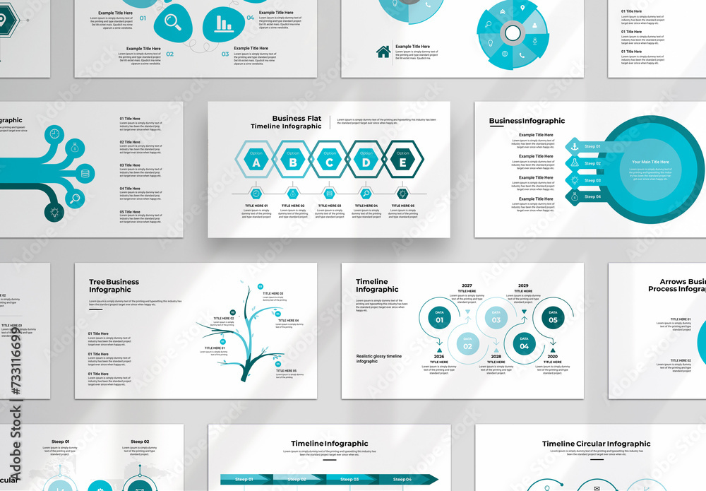 Infographic Presentation Template Stock Template | Adobe Stock