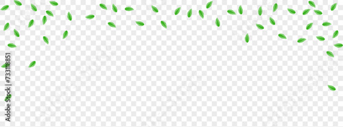 Light Green Leaves Background Transparent Vector. Vegetation Figure Design. Element Card. Greenish Icon Illustration. Sheet Mint.