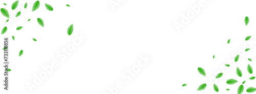 Greenish Leaves Background White Vector. Sheet Peaceful Frame. Wild Illustration. Green Growing Card. Plant Eucalyptus.