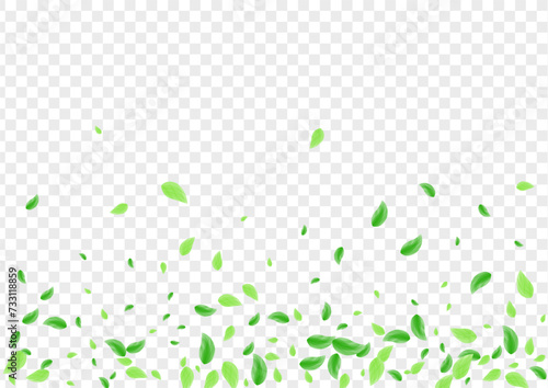 Greenish Sheet Background Transparent Vector. Vegetation Vibrant Texture. Symbol Card. Light Green Figure Frame. Plant Mint.