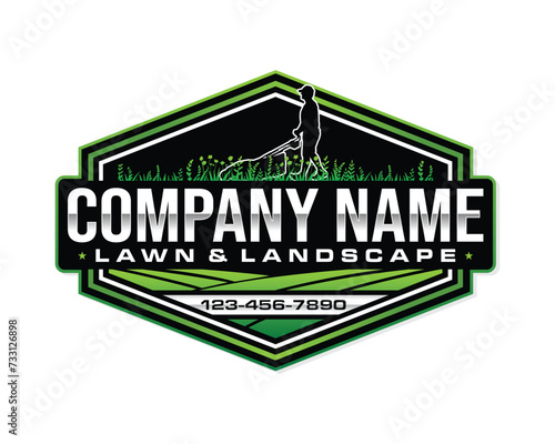 Illustration graphic vector of lawn care, landscape services, grass concept logo design template