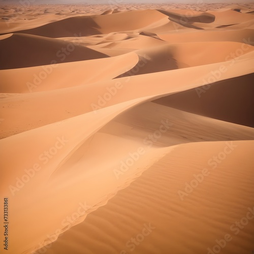 Sand dunes in the Sahara Desert  Merzouga  Morocco 
