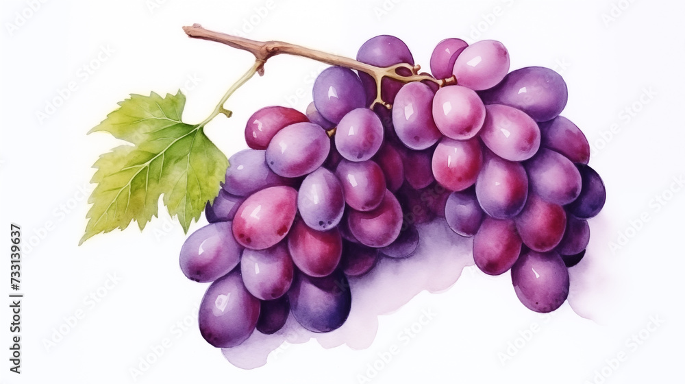 Fototapeta premium Hand drawn cartoon fresh grape illustration 