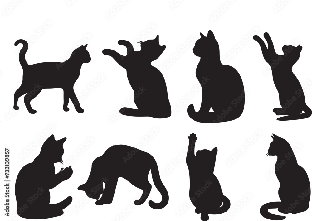 cat vector illustration, cat vector
