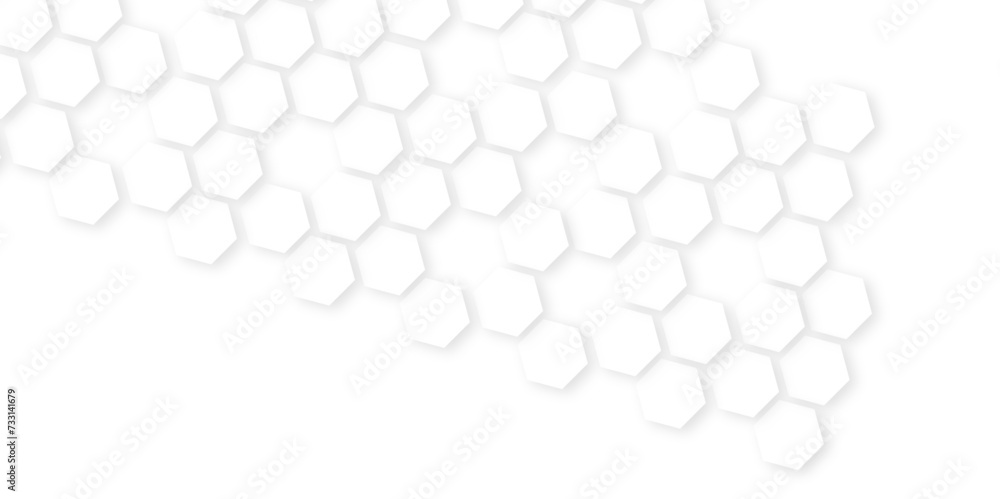 Abstract White Hexagonal Background. Luxury White Pattern. hexagon concept design abstract technology background.honeycomb white Background,geometric mesh cell texture. Abstract White Hexagonal Background. Luxury White Pattern. hexagon concept design abstract technology background.honeycomb white Background,geometric mesh cell texture.