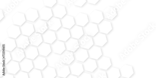 Fototapeta Naklejka Na Ścianę i Meble -  Abstract White Hexagonal Background. Luxury White Pattern. hexagon concept design abstract technology background.honeycomb white Background,geometric mesh cell texture.