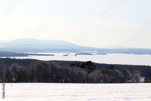 View of the mountains, meadows and the lake. Trees and mountains in winter. Winter landscape in Östersund.