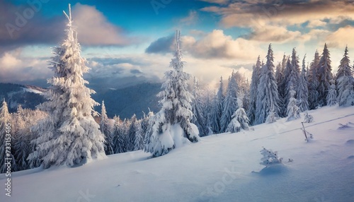 impressive winter morning in carpathian mountains with snow covered fir trees colorful outdoor scene happy new year celebration concept artistic style post processed photo © Richard