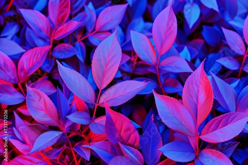 A surreal view of leaves under ultraviolet illumination showcasing bright hues of blue and pink, which emphasizes the intricate details and patterns of the foliage.
