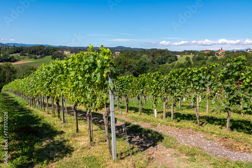 Scenic view of vineyards near Ehrenhausen an der Weinstrasse (wine road), Leibnitz, South Styria, Austria. Winery Skoff stretching over lush green hills. Idyllic hiking trails in Styrian Tuscany photo