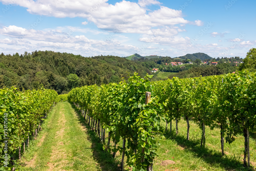 Scenic view of vineyards near Ehrenhausen an der Weinstrasse (wine road), Leibnitz, South Styria, Austria. Winery Skoff stretching over lush green hills. Idyllic hiking trails in Styrian Tuscany