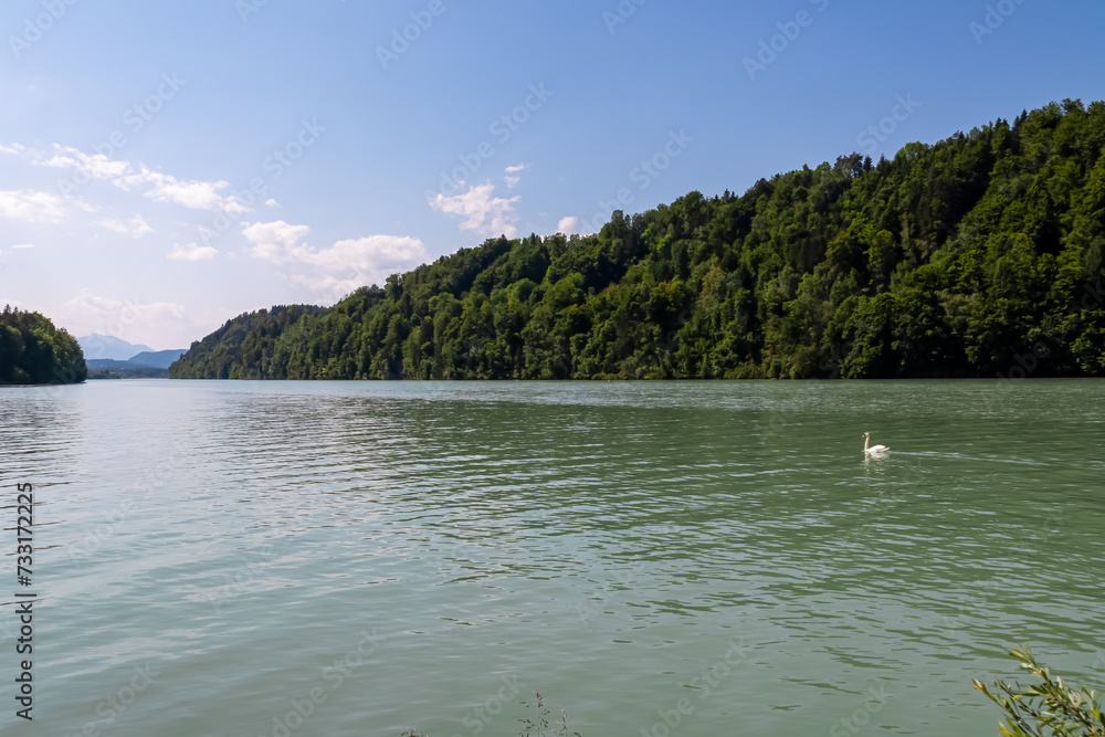Scenic view of white swan swimming on Drive river seen from Feistritz im Rosental, Carinthia, Austria. Looking at majestic mountain Dobratsch in the distance. Hiking in alpine wilderness Austrian Alps