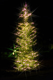 Luci di Natale, albero di Natale di notte