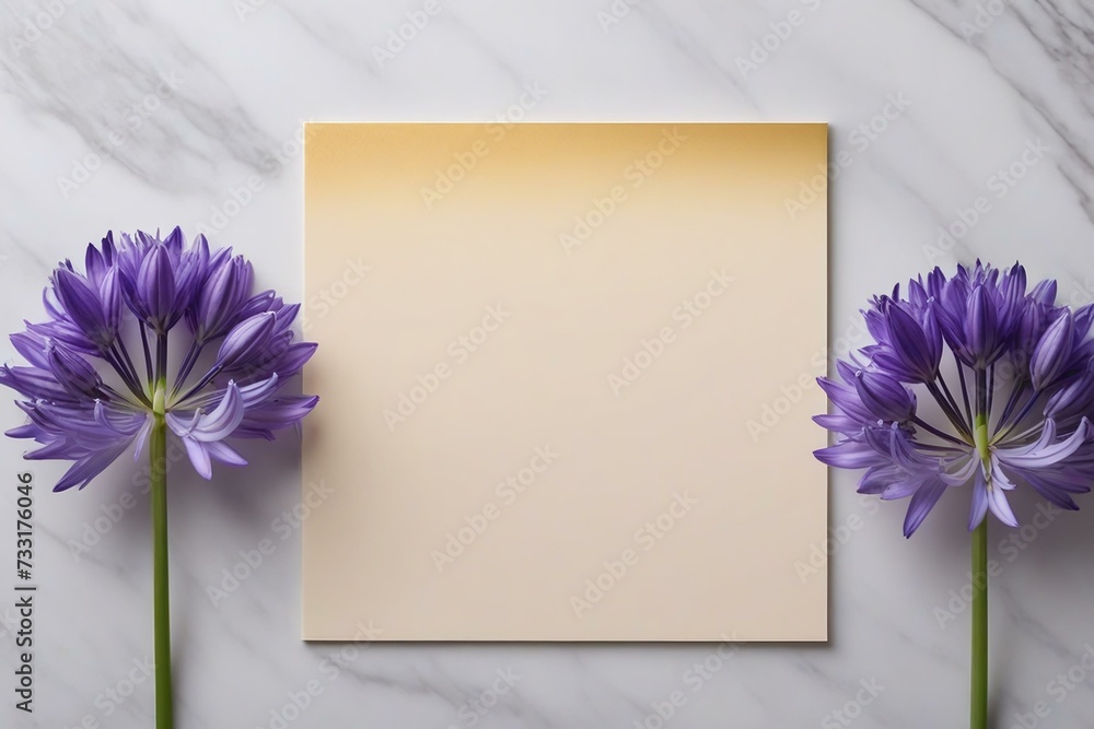 Light Gray Marble Background with Purple Agapanthus Flower Stems Flanking a Blank Paper Frame Light Gray Marble Background with Purple Agapanthus Flower Stems Flanking a Blank Paper Frame