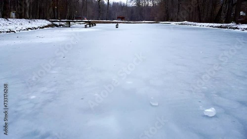 Frozen lake in the forest