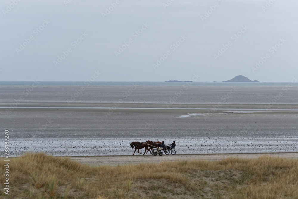 chevaux au galop sur une plage de la baie de saint brieuc - hillion